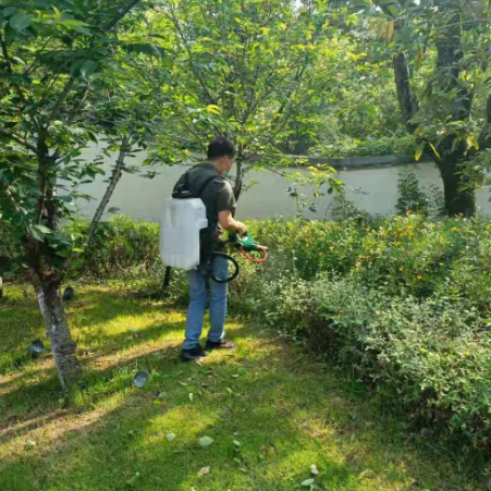 除虫案例
